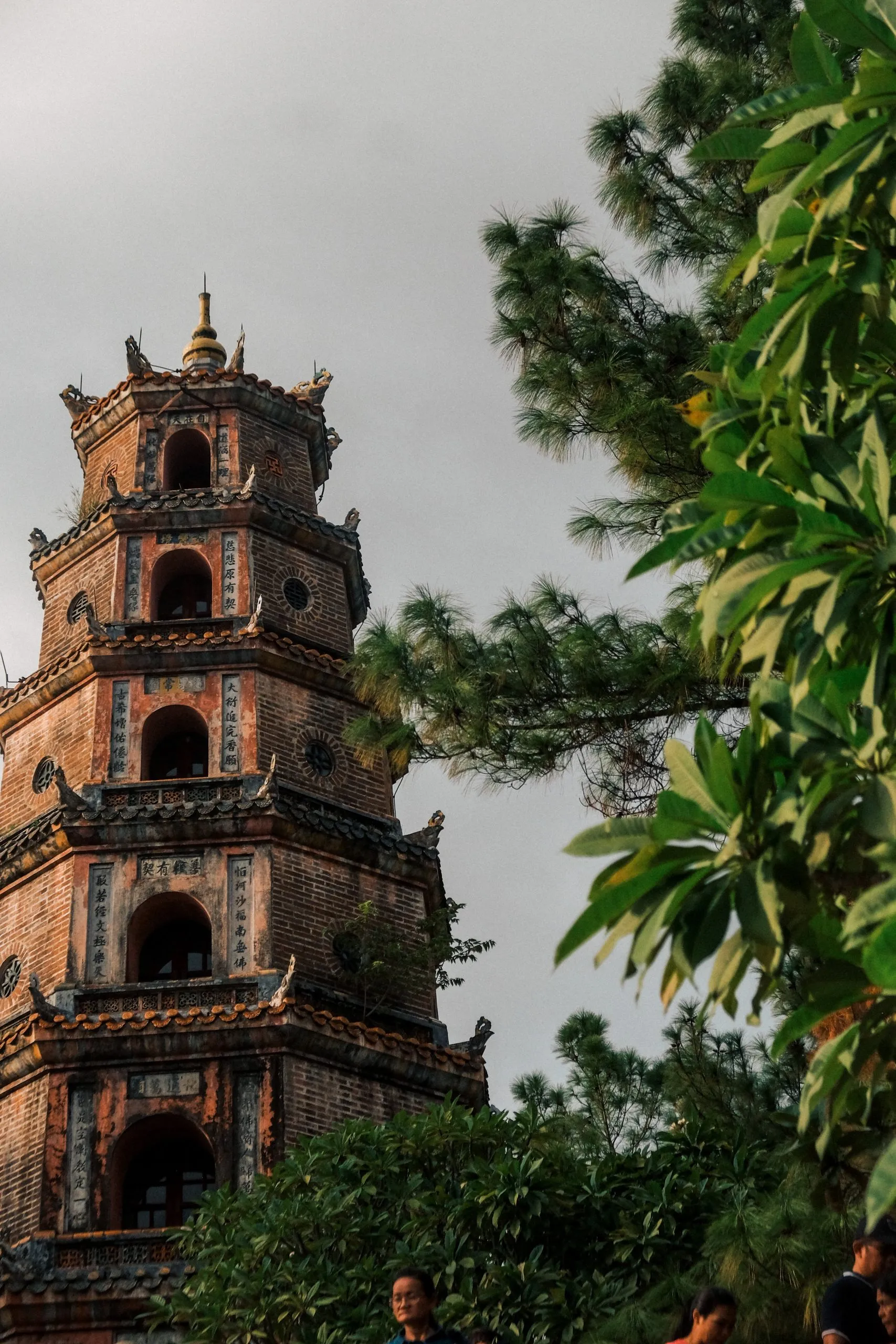 pexels-duong-nhan-3155276-scaled.jpg