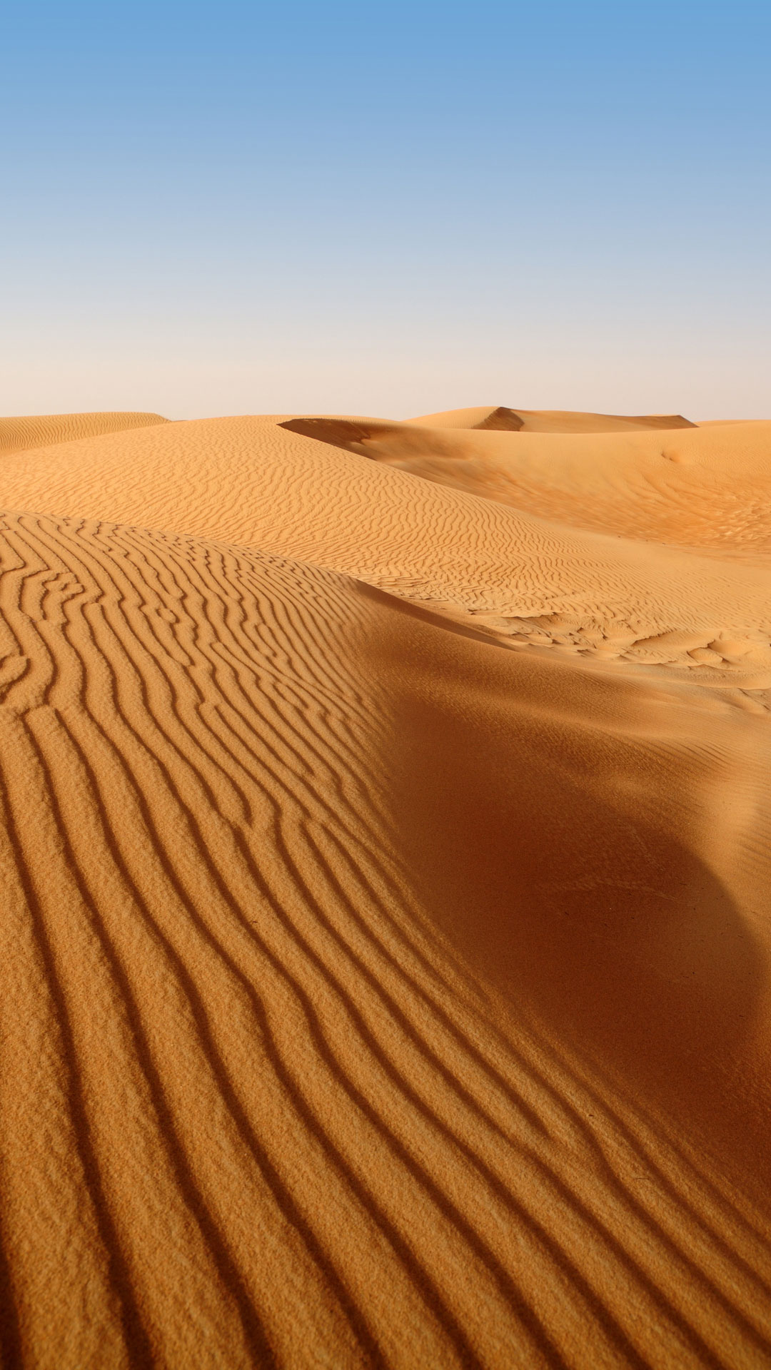 Dubai_Gallery_4.jpg