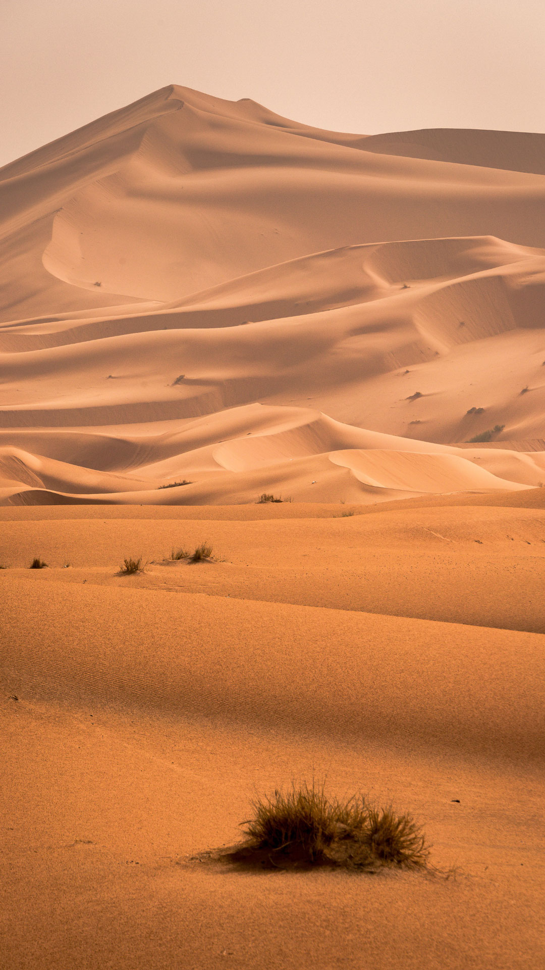 Morocco_Faq.jpg