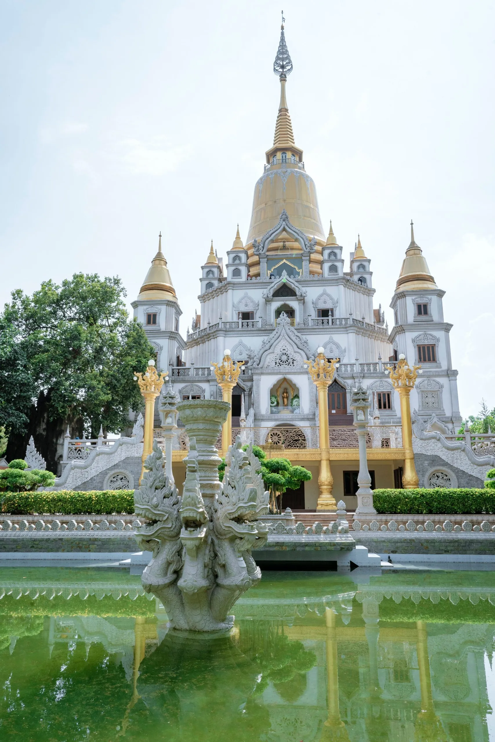 pexels-phuongduy-le-7998630-scaled.jpg