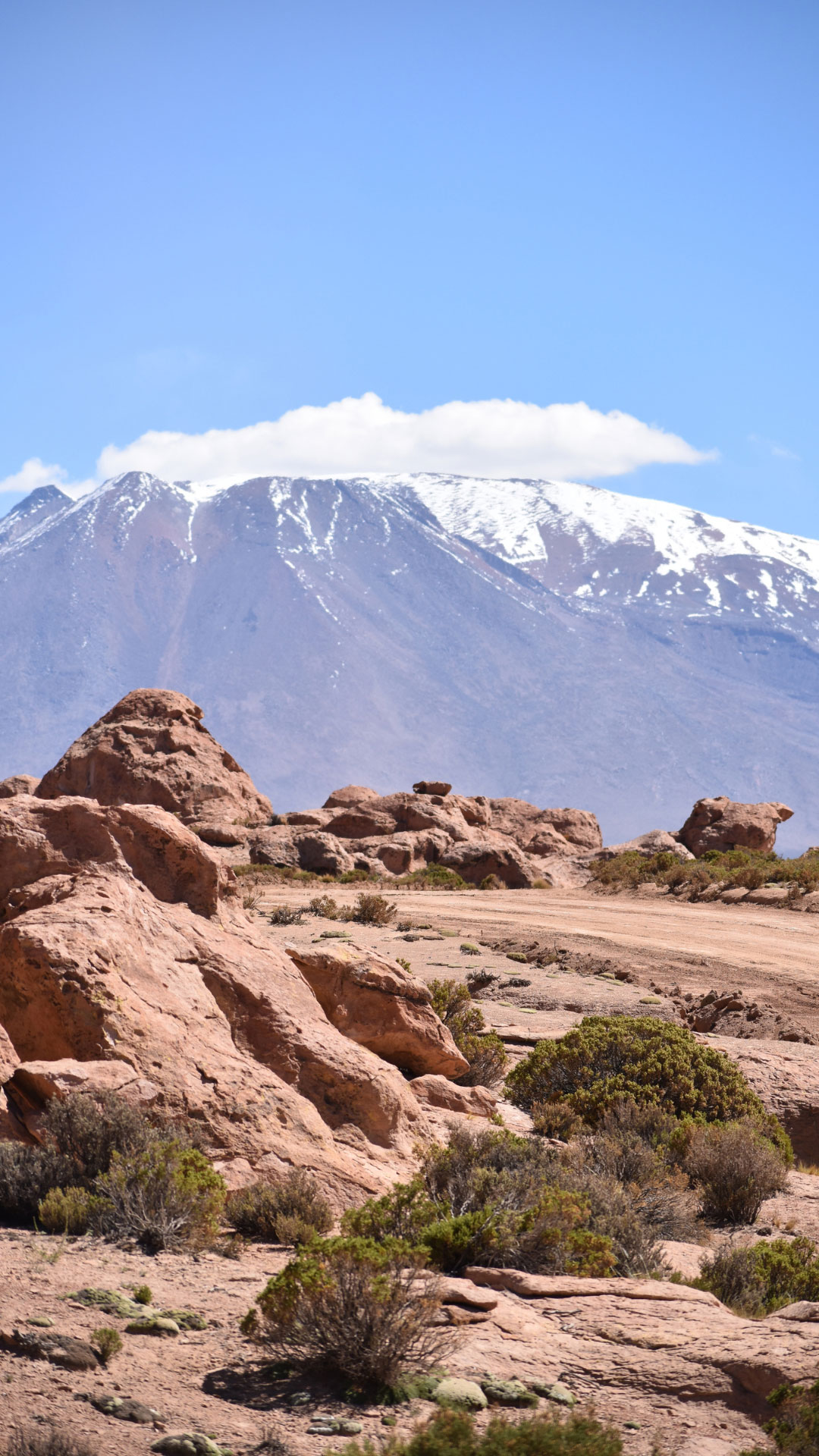 Bolivia_Gallery_2.jpg