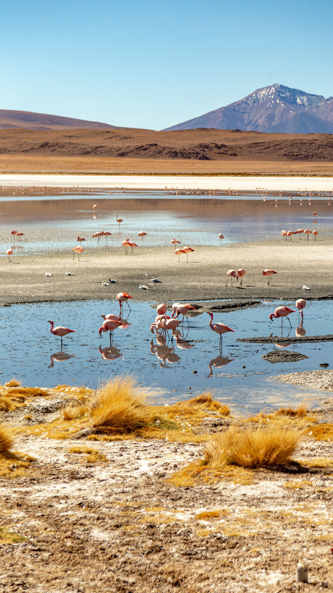 Bolivia_Gallery_4.jpg