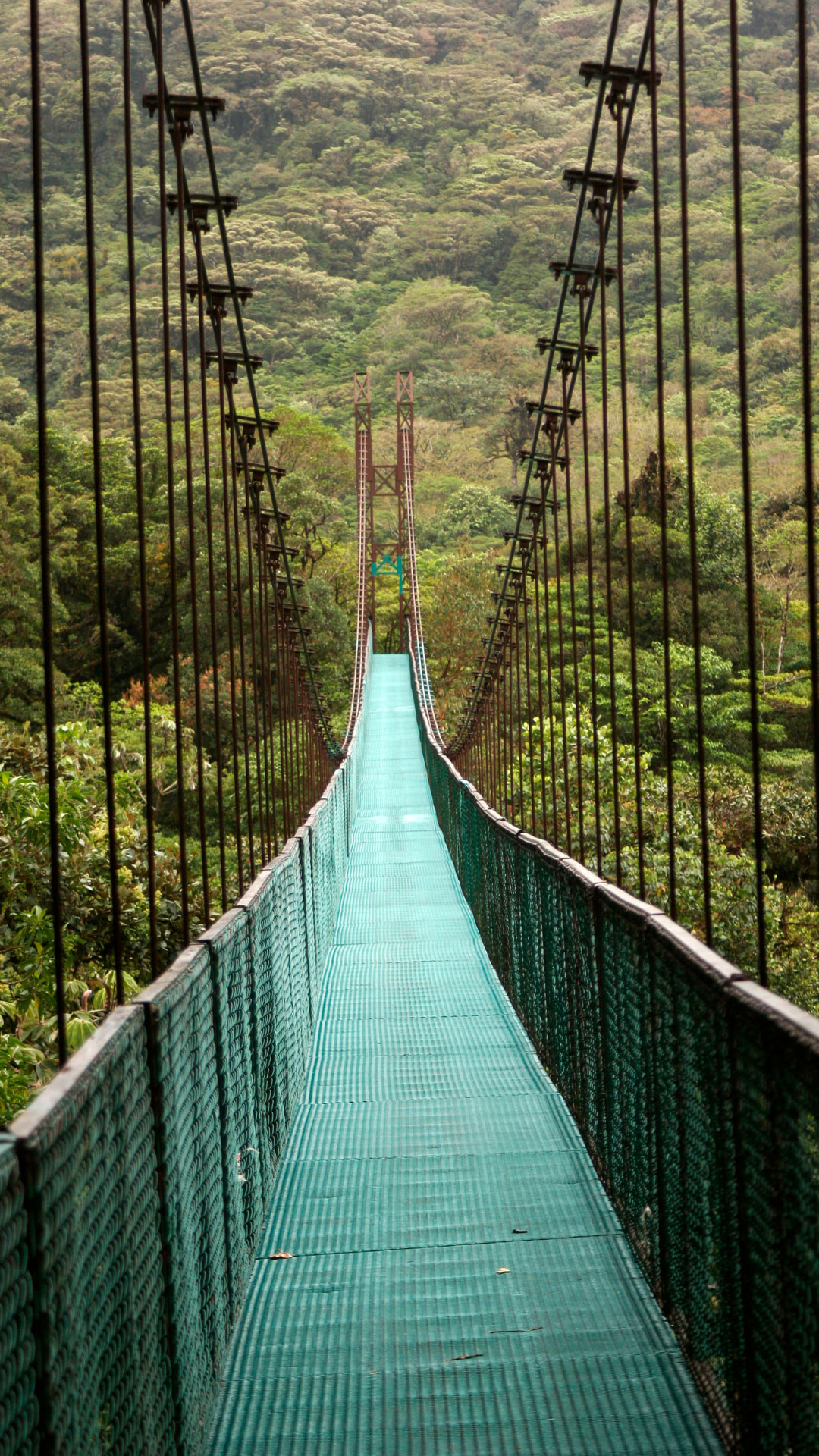 Costa_Rica_Gallery_2.jpg