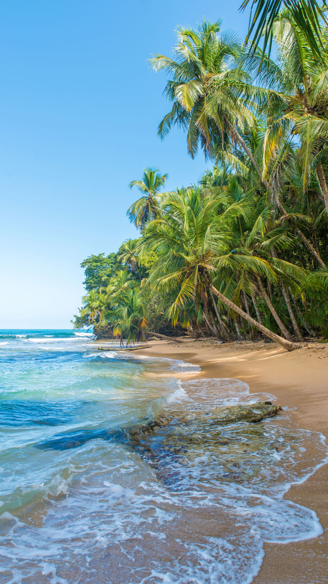 Costa_Rica_Gallery_4.jpg