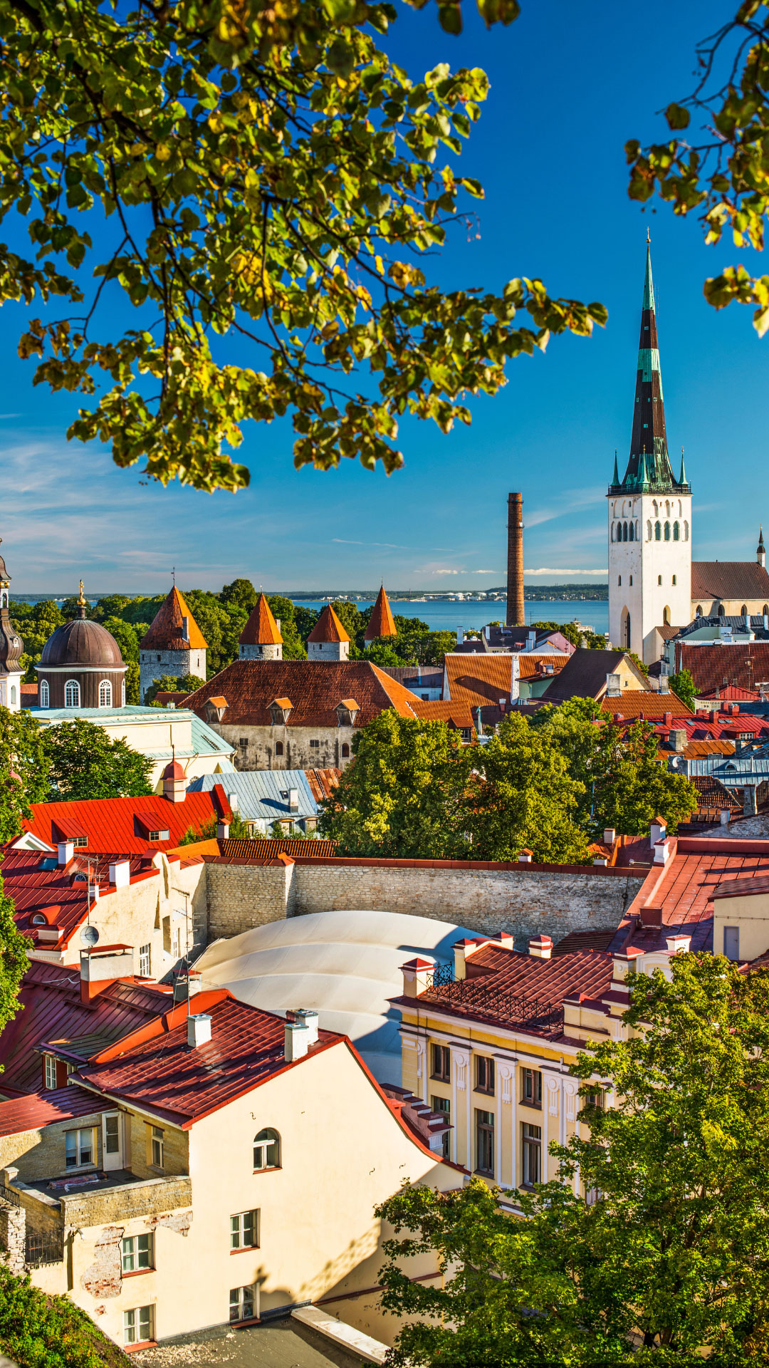 Estonia_Faq.jpg