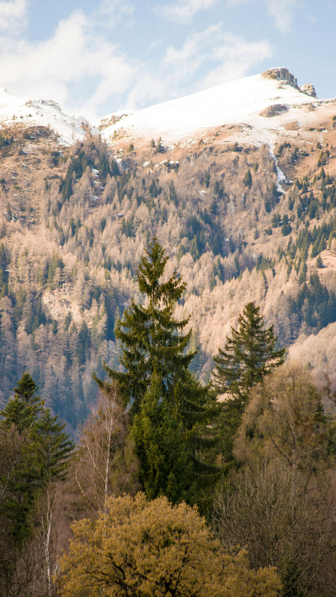 Romania_Gallery_2.jpg