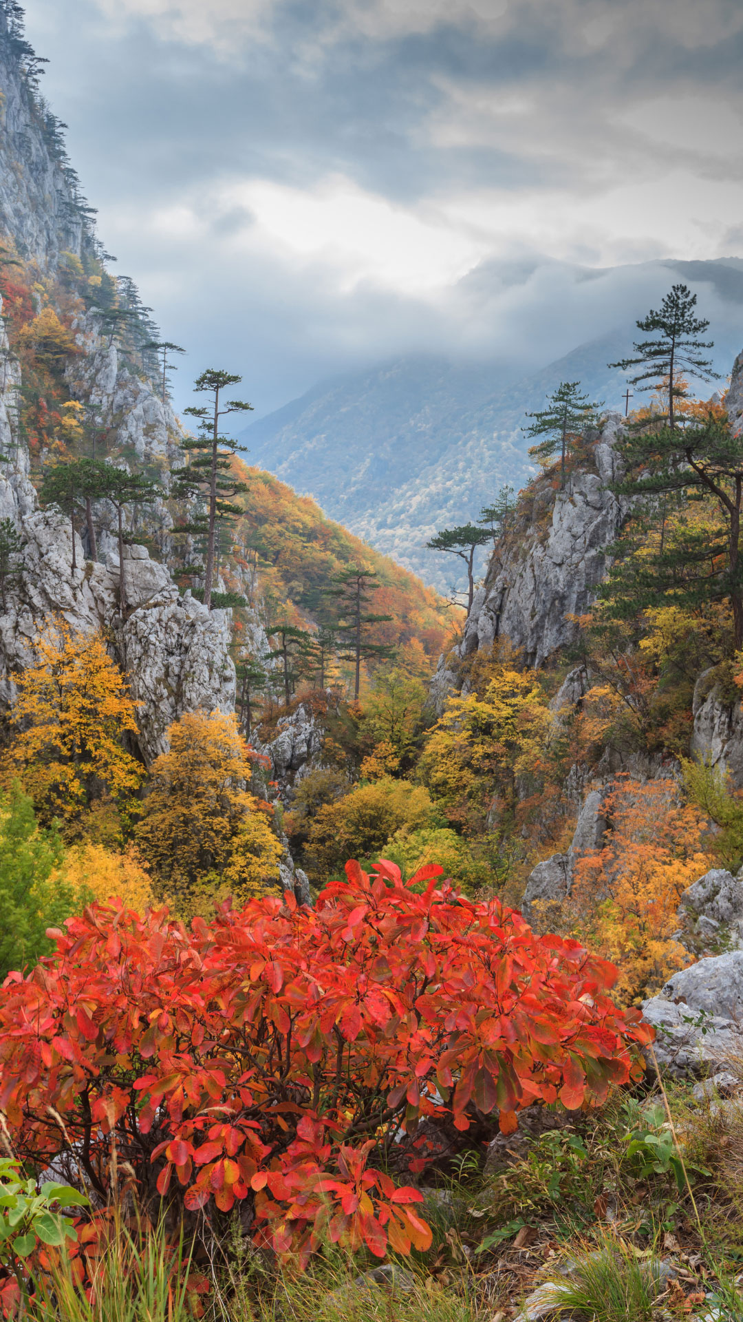 Romania_Gallery_4.jpg