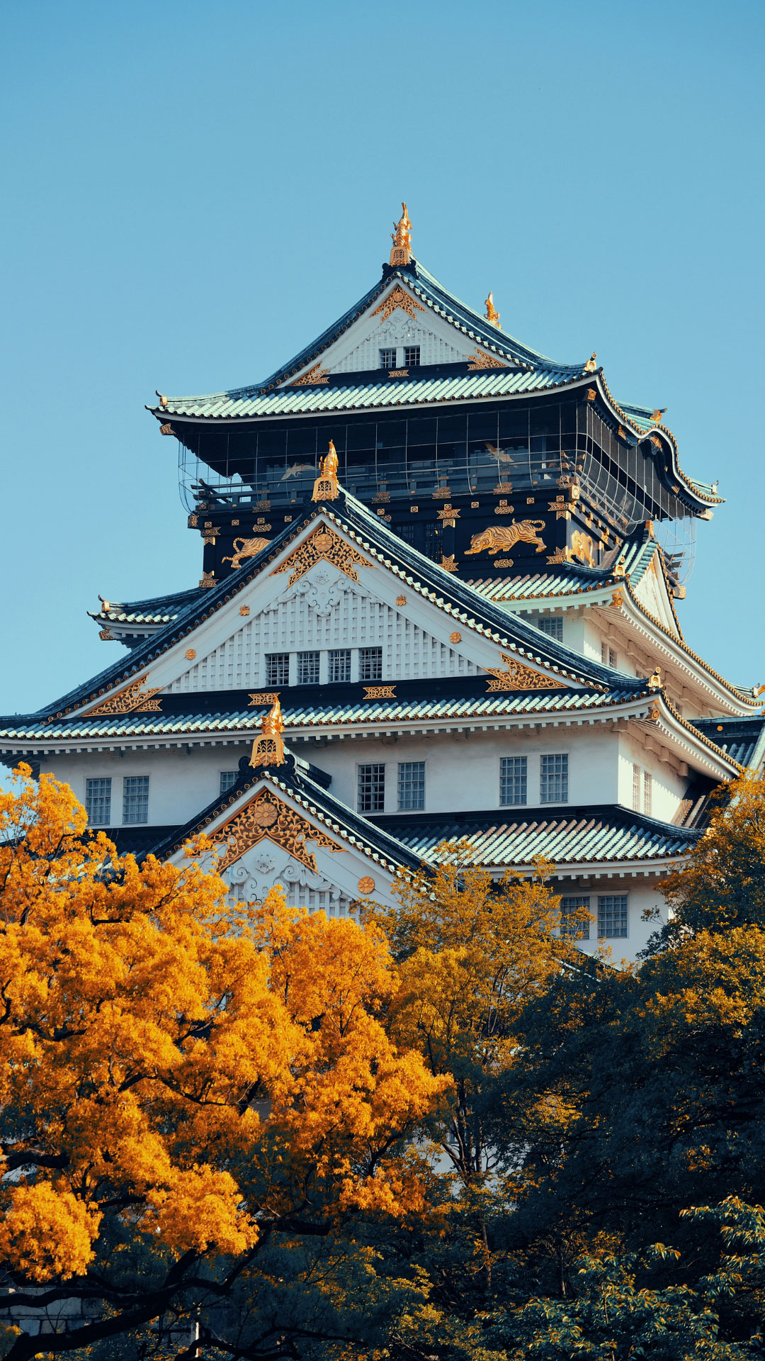 Japan_Gallery_2.jpg