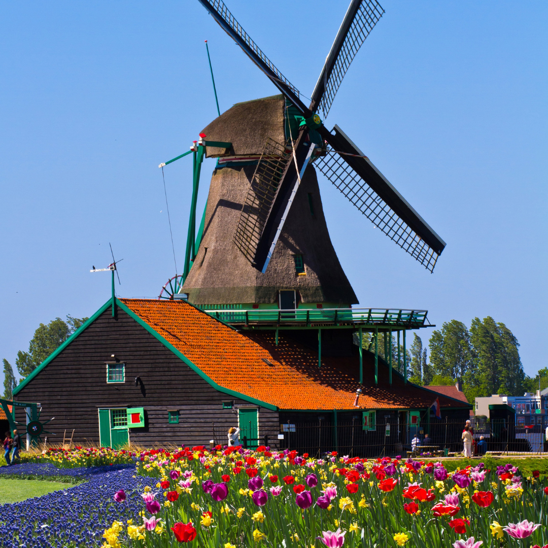 Pictures-for-the-new-country-guides-25.png