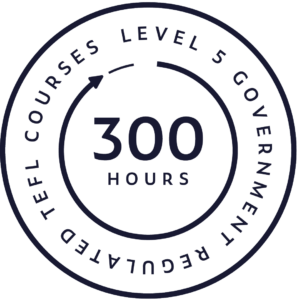 tefl diploma icon