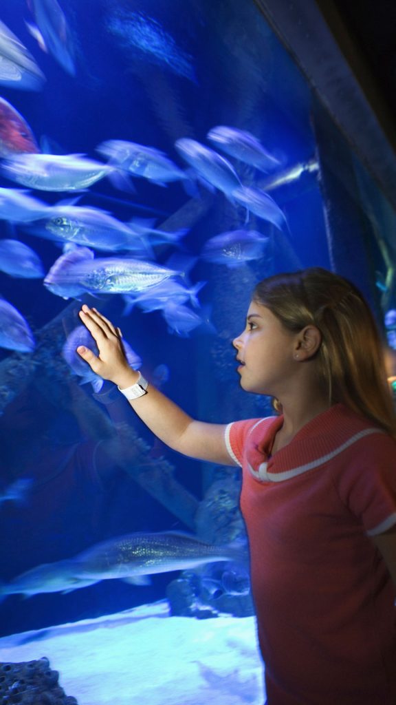 Dubai_Gallery