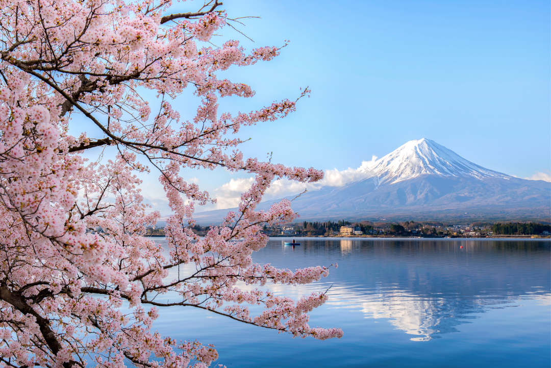 Untitled-1080-x-721-px-2025-09-03T122631.174.png