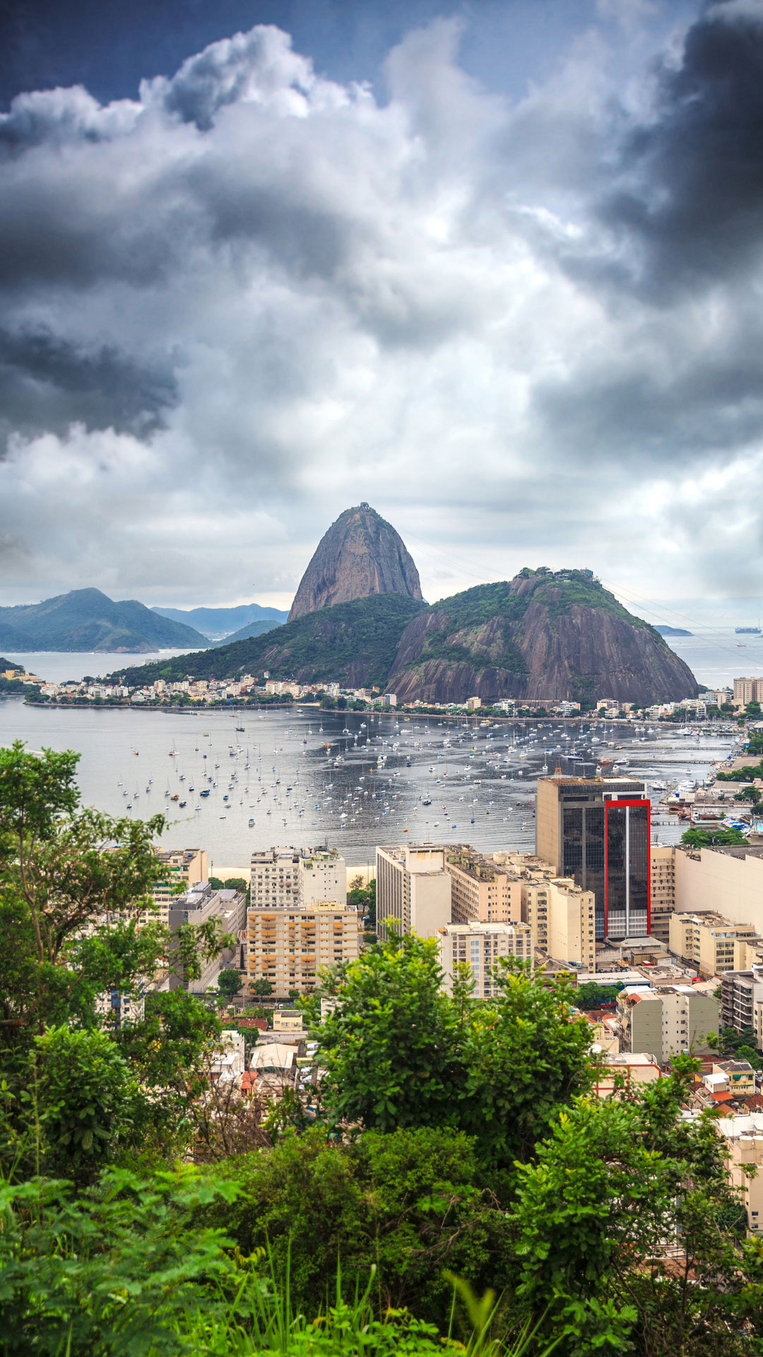 South_America_Gallery_5.jpg