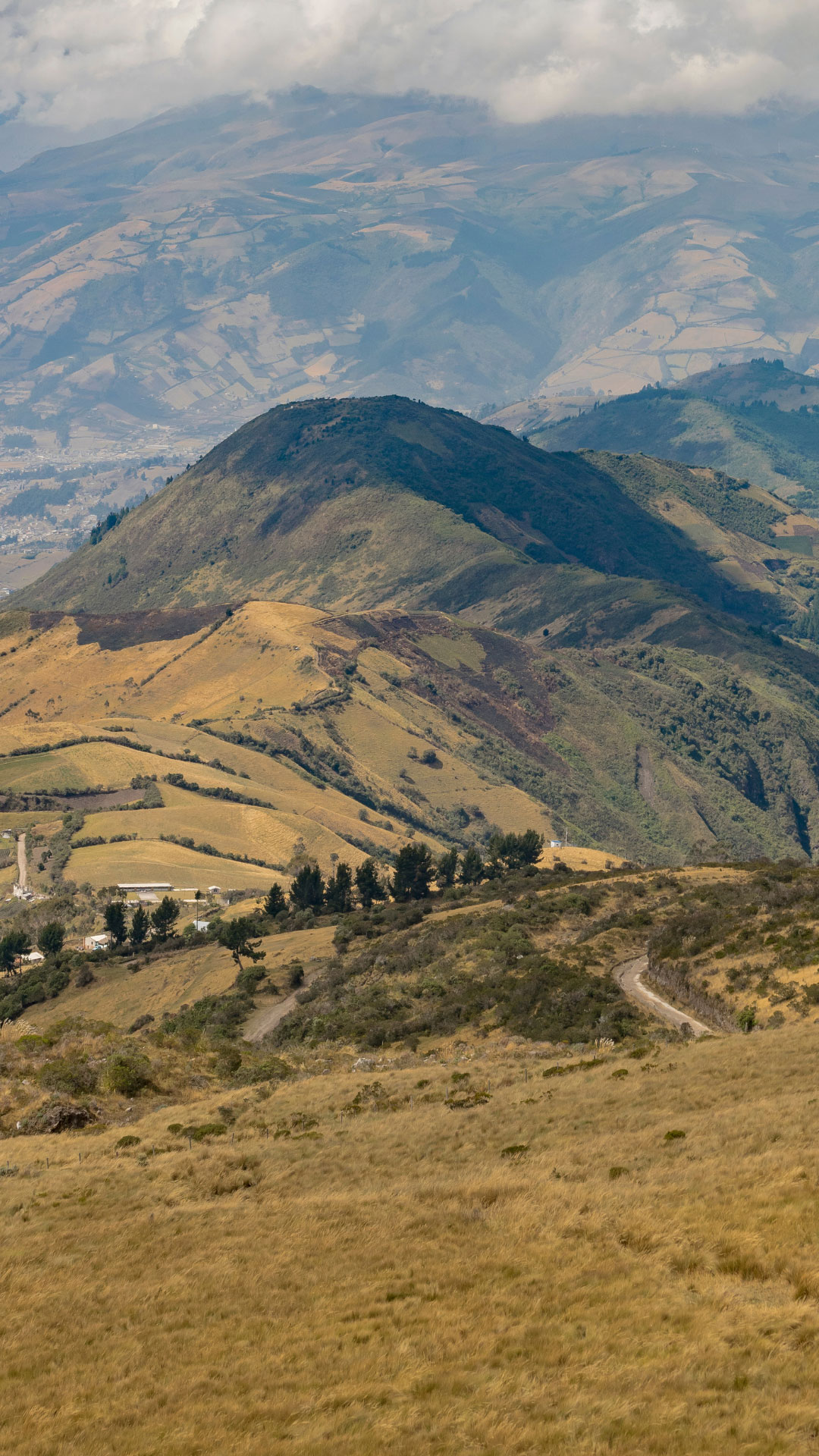 Ecuador_Gallery_4-1.jpg