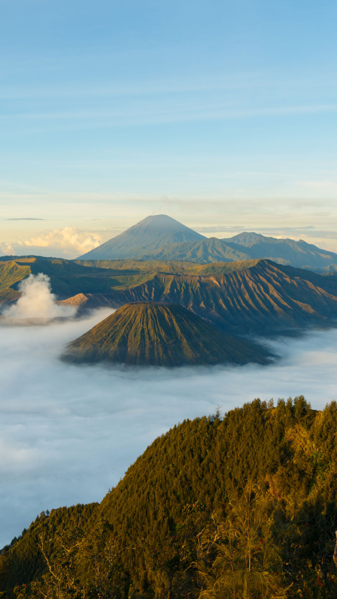 Indonesia_Gallery_2-1.jpg