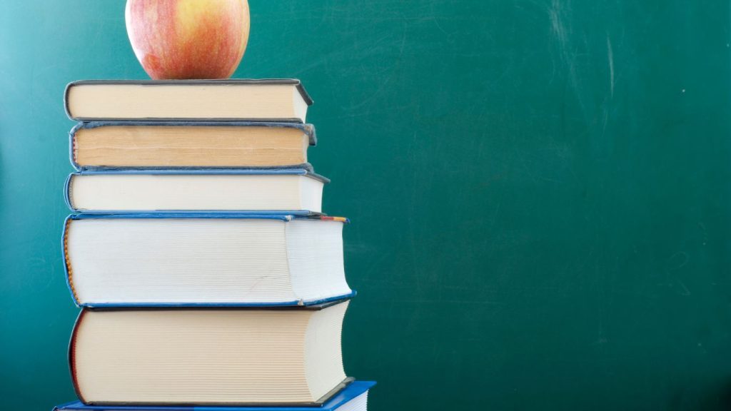 Teaching Jobs for South African TEFL Teachers in China