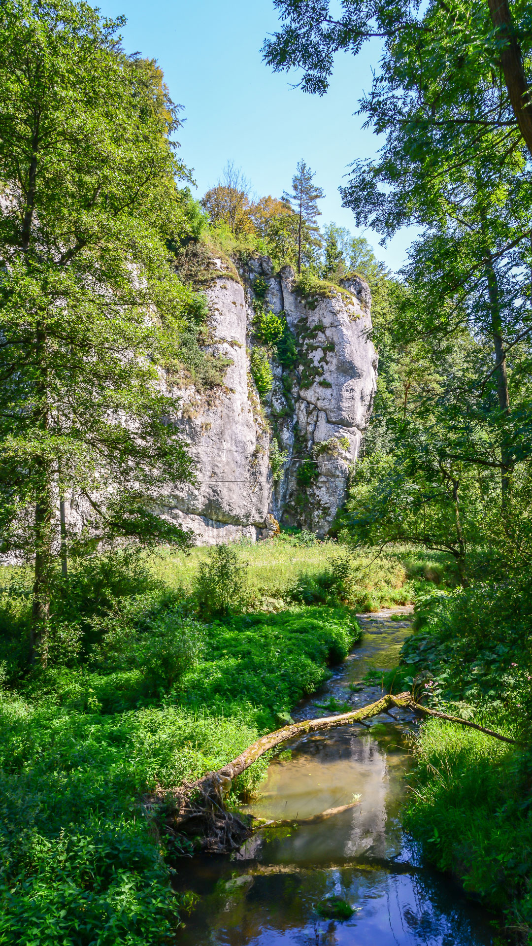 Poland_Gallery_3.jpg
